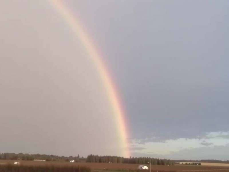 Vibrant rainbow colors blending with gaming controllers